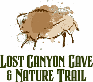 lost canyon christmas tour 2022