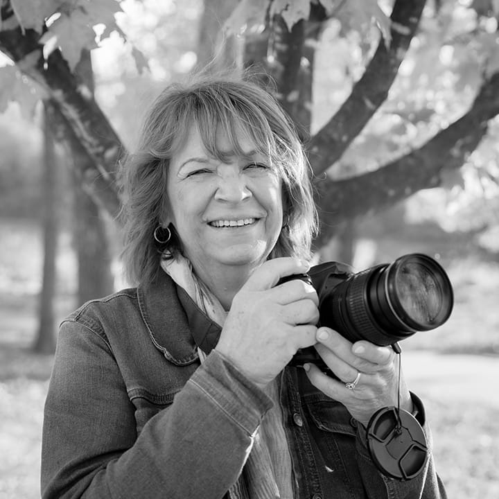 Ladonna Headshot Courtesy Ladonna Greinerbw