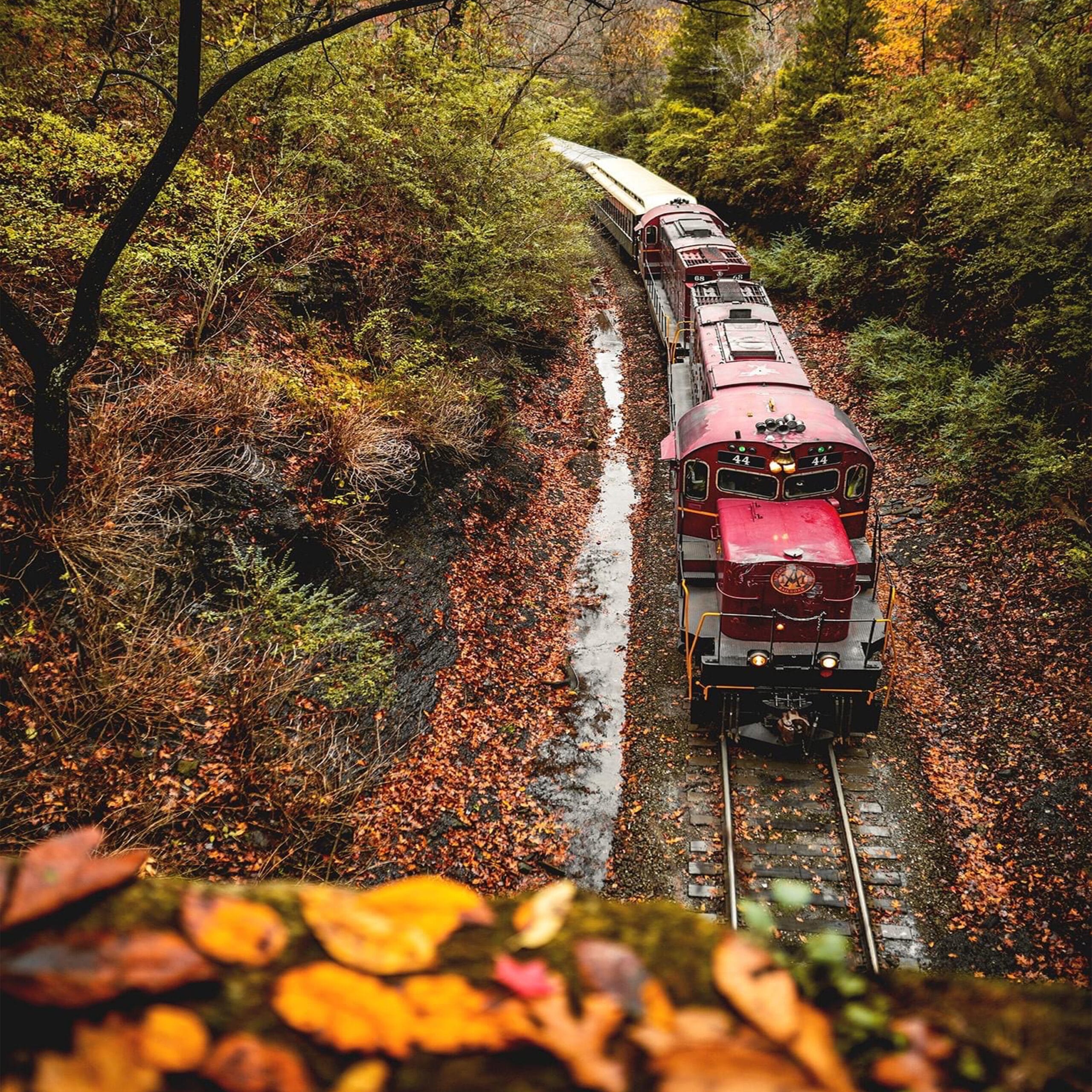 Train Header 1