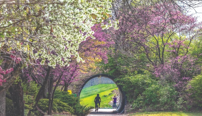 Copy Of 7first Tunnel On Katy Trail West From St. Charles Trailhead Springtime Flora Oc077677 Edit Edit 300 Ppi 2