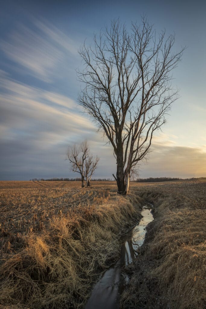 Farm Field Near Slater Saline County M