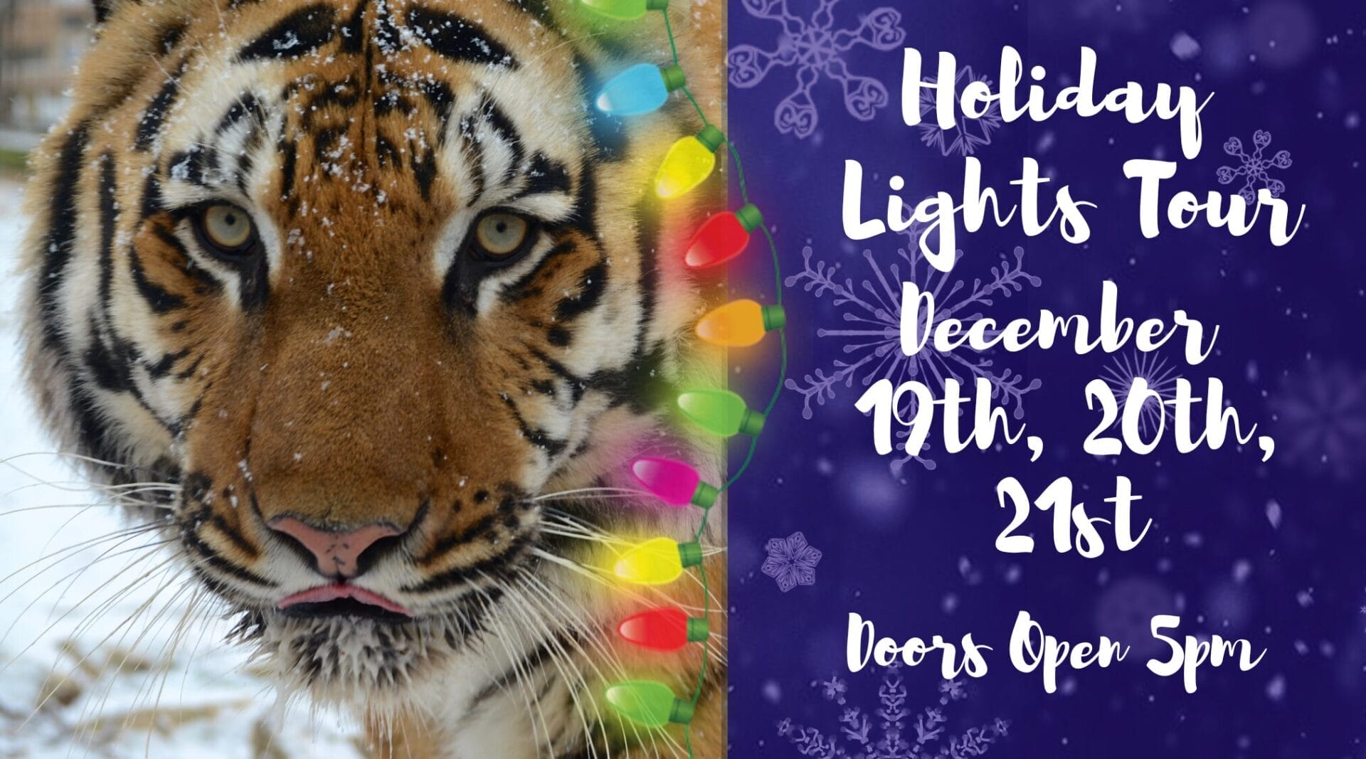 Holiday Lights Facebook Banner (1)