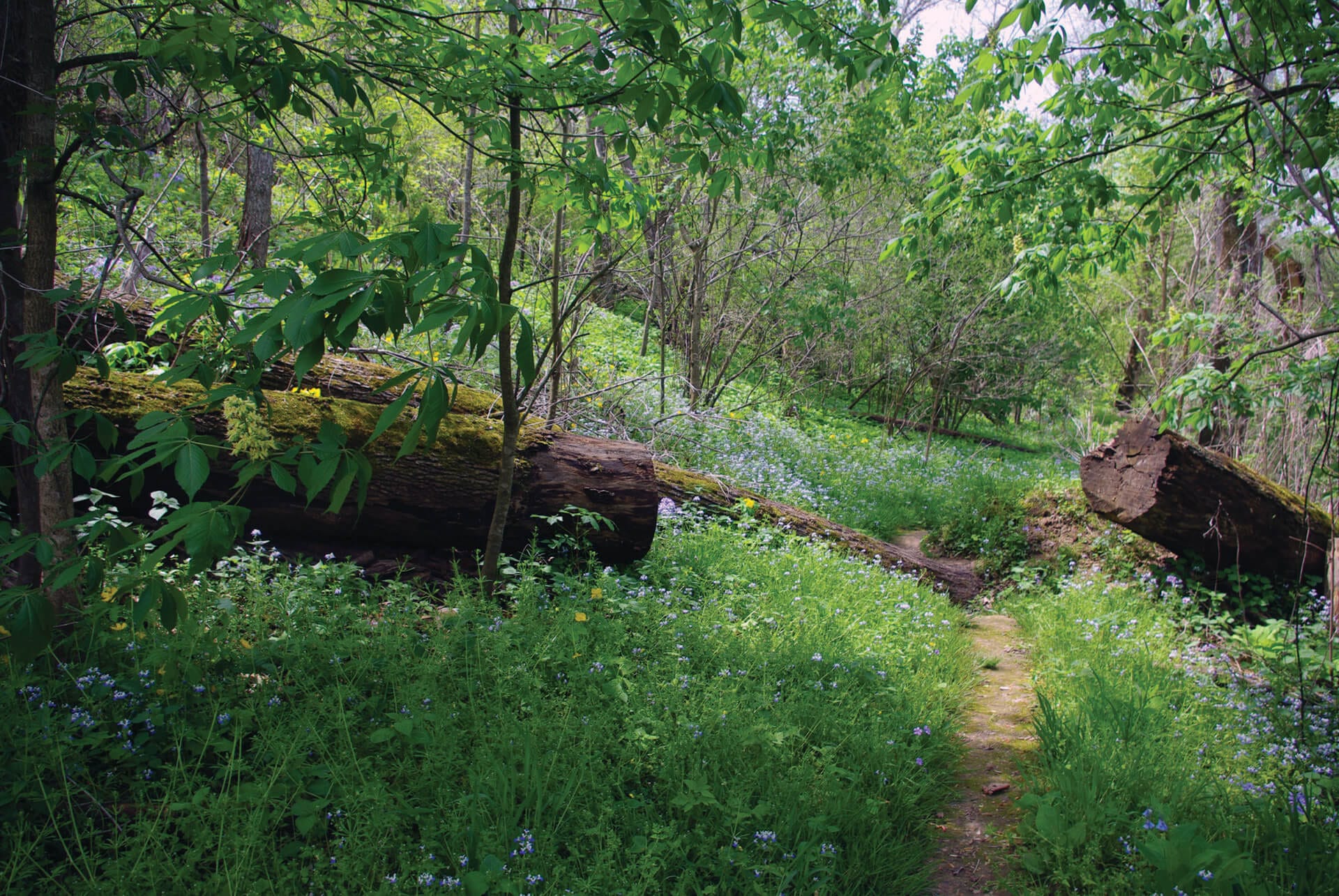 At Montauk State Park, a River is Born – Missouri Life